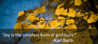 Photo of leaves against a blue sky with the quote "Joy is the simplest form of gratitude" by Karl Barth
