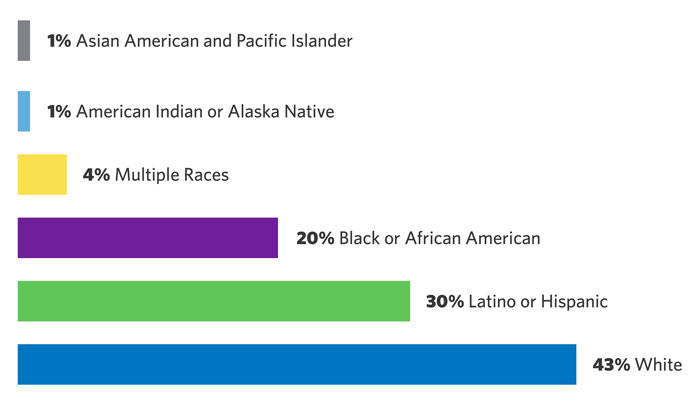 A bar graph showing the breakdown of race and ethnicity of people we serve at the WellPower