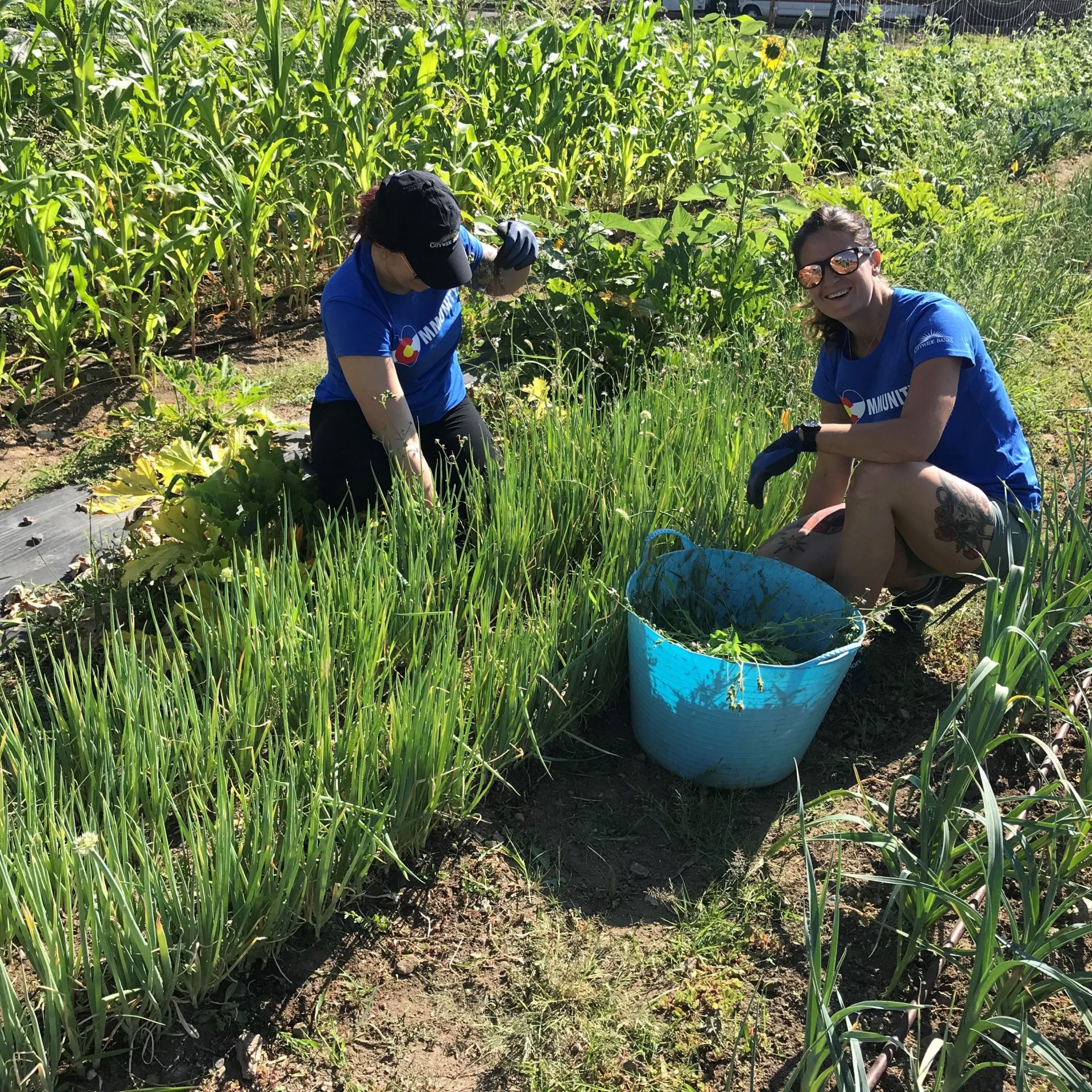 Citywide Banks Volunteering 2021_10