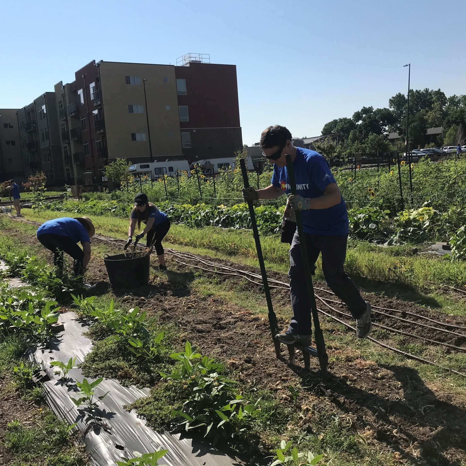 Citywide Banks Volunteering 2021_15