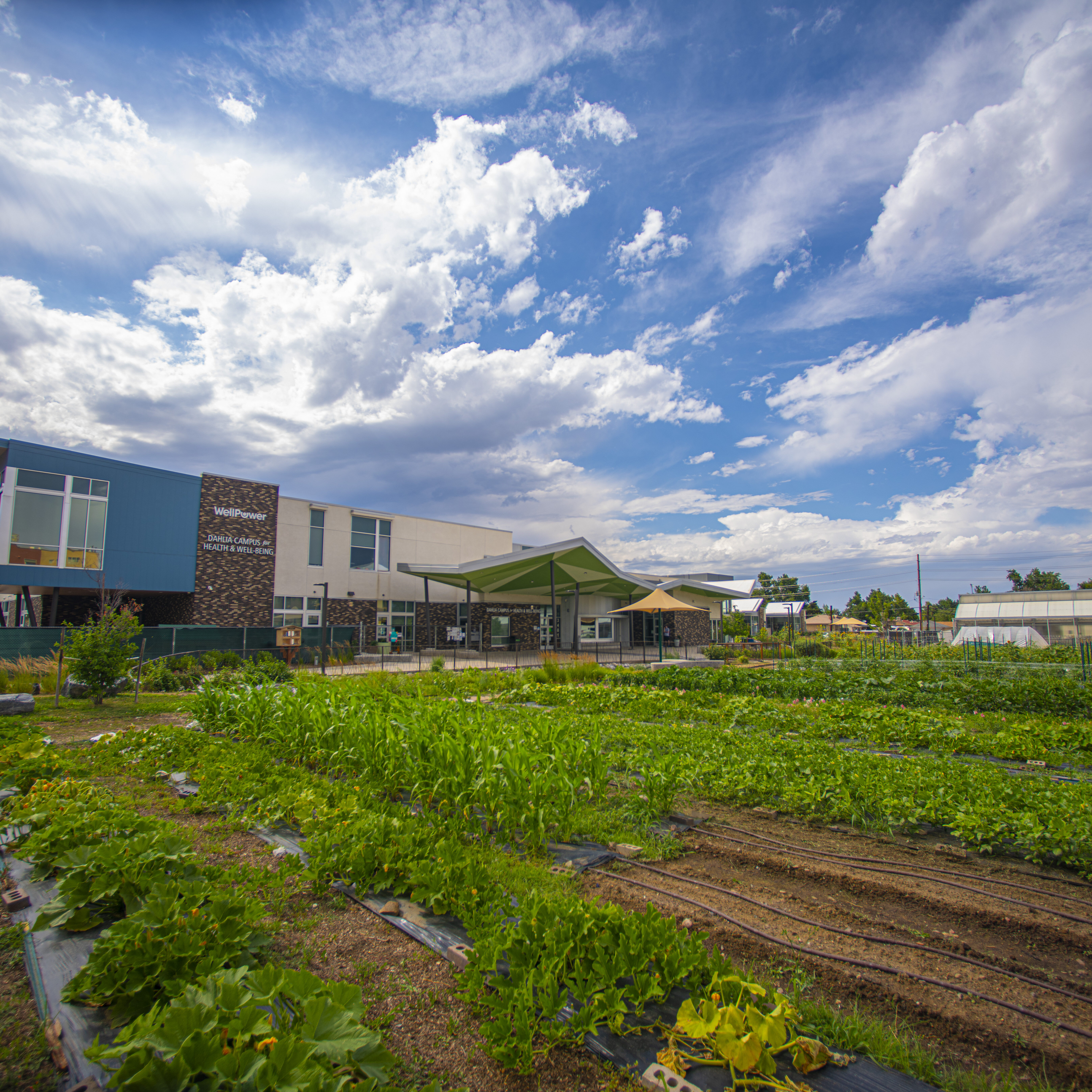 Photos by Evan Semón Photography  720-620-6767