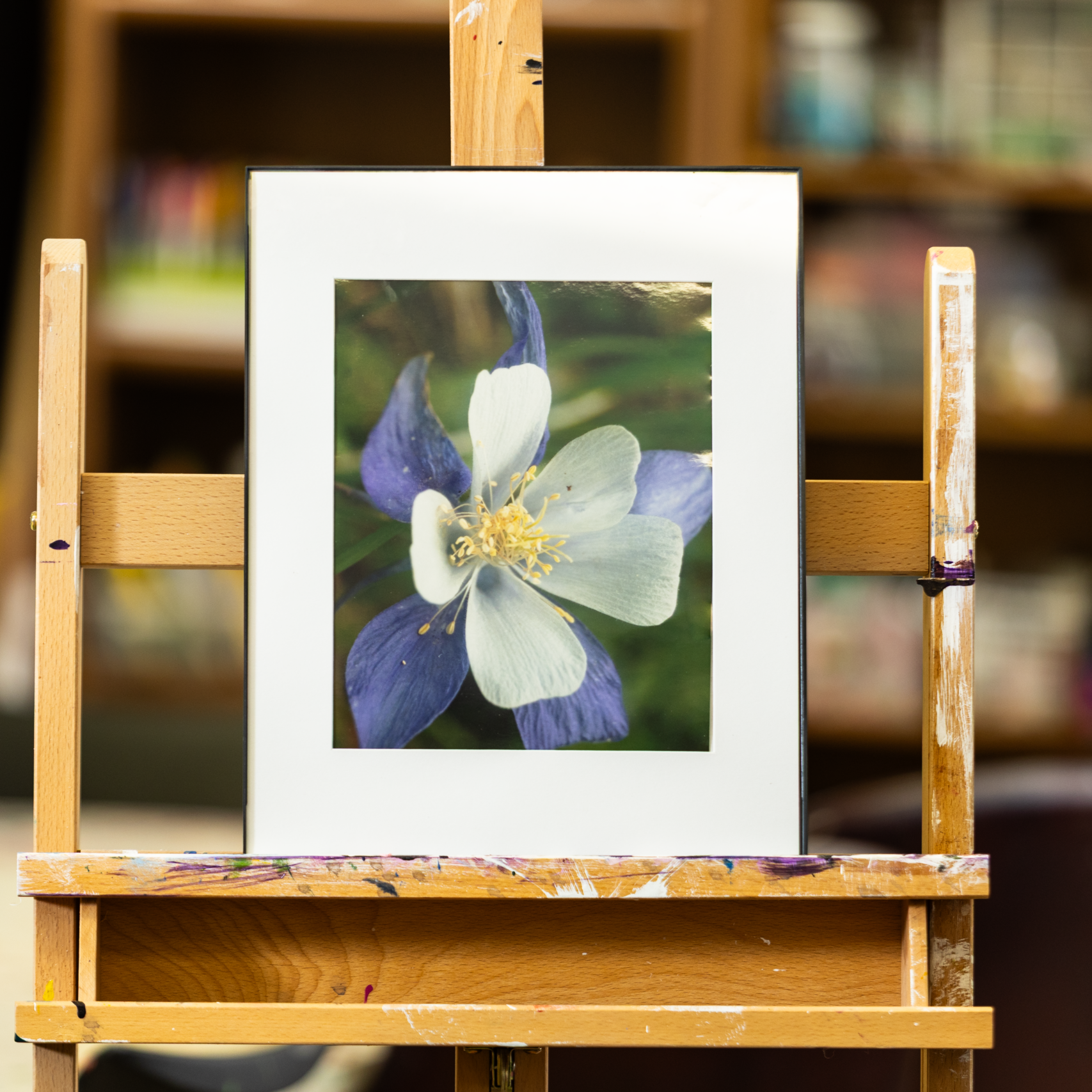 NextChapter_Gallery_Show-3257