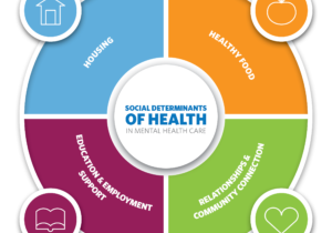 Social Determinants of Health Infographic_V1